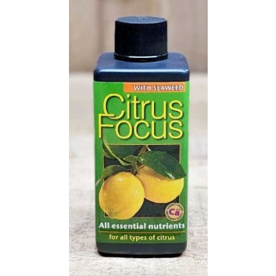 CitrusFocus300ml2