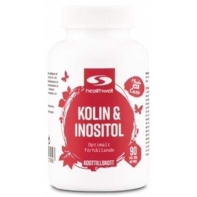 healthwell kolininositol 65256 x2