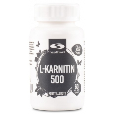 healthwell l karnitin 500 65050 x2