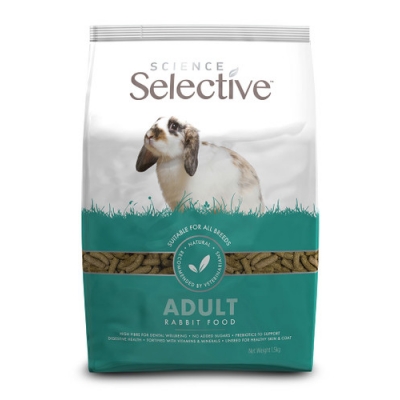  Adult Rabbit Foder