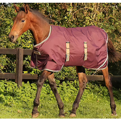 Horseware Amigo Foal Rug Ripstop 200 g Foeltaecke Fig Navy Tan