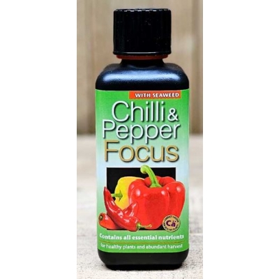 chilli2