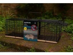 Produktguide testar Silverline Lion R1