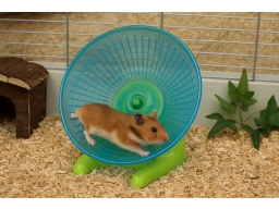 Produktguide testar Trixie Running disk för hamster
